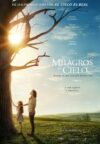 Image Milagros del cielo