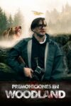 Image Premoniciones en Woodland