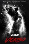 Image Oso intoxicado