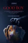 Image Good Boy